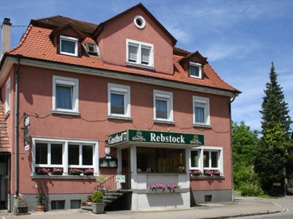 Foto: Rebstock